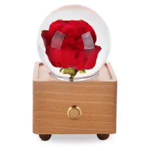 Real Preserved Flower Wireless Bluetooth Speaker, LED Night Light in Glass Dome