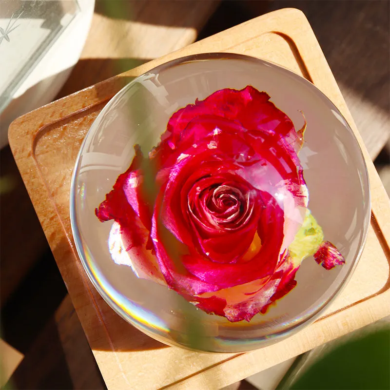 Real Preserved Flower Wireless Bluetooth Speaker, LED Night Light in Glass Dome