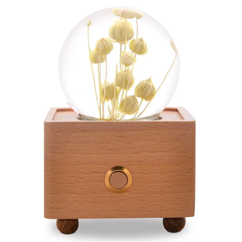 Real Preserved Flower Wireless Bluetooth Speaker, LED Night Light in Glass Dome