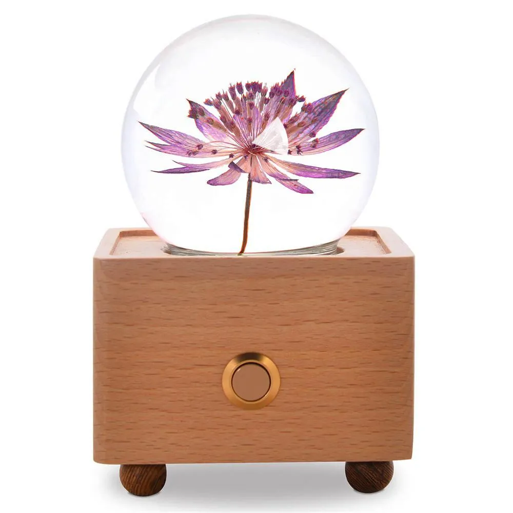 Real Preserved Flower Wireless Bluetooth Speaker, LED Night Light in Glass Dome