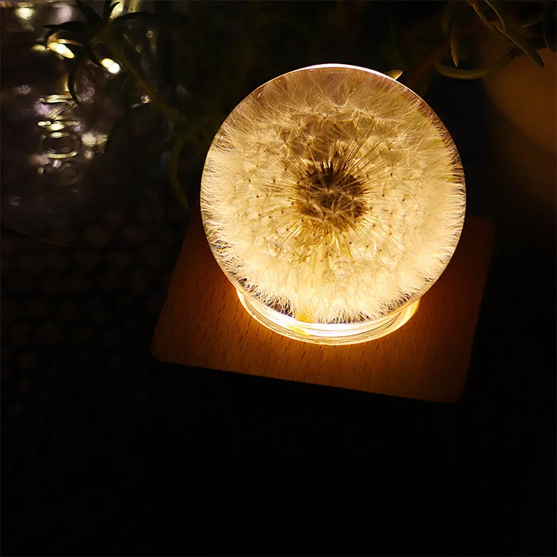 Real Preserved Flower Wireless Bluetooth Speaker, LED Night Light in Glass Dome